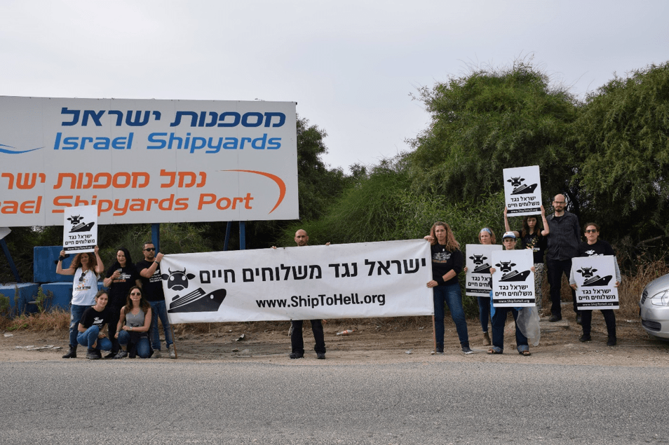 IALS Activists outside the Haifa (Mespenot) port vigil