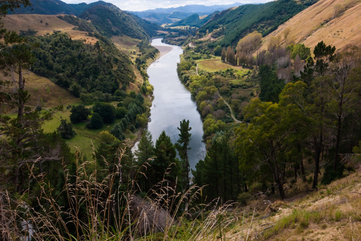Whanganui River, New Zealand