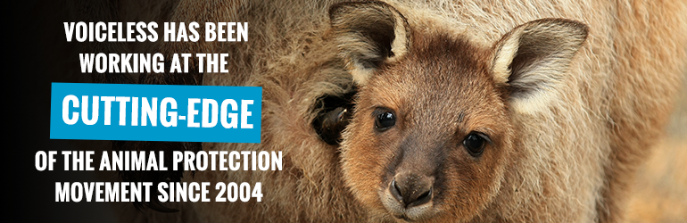 Voiceless Animal Protection since 2004 Banner