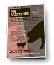 Pig Factory Briefing Thumbnail