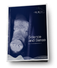 Science and Sense Sow Stall Report