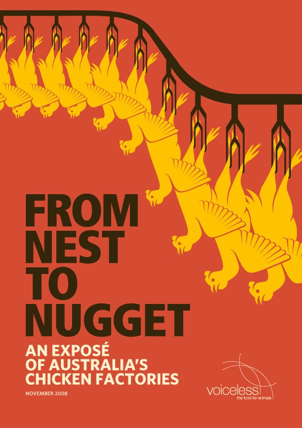From Nest to Nugget Report Thumbnail