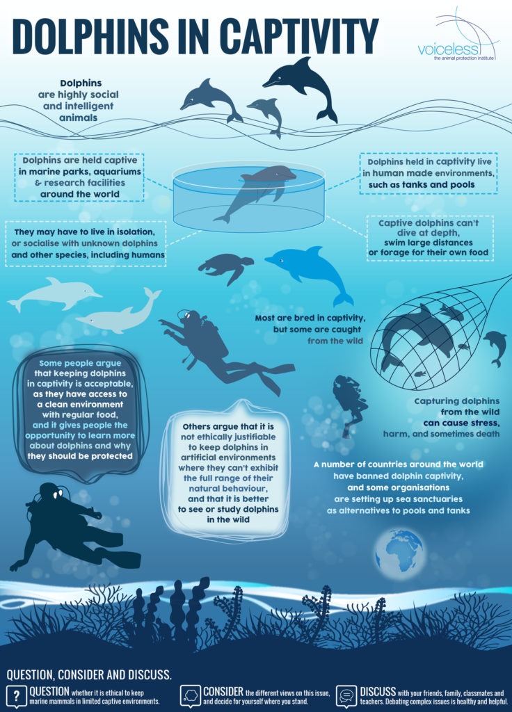 Dolphins Infographic - Voiceless