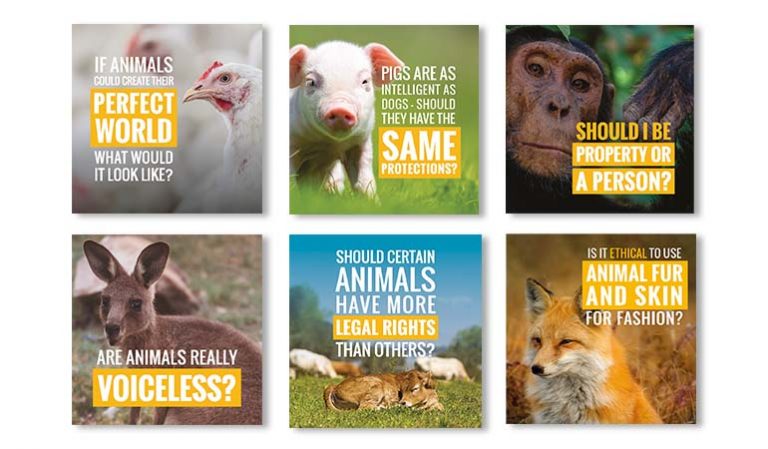 Critical Thinking - Free Teacher Resources - Voiceless