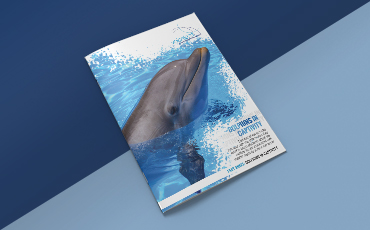 Dolphins in Captivity Fact Sheet