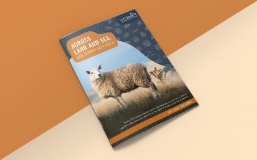 thumbnail of the Voiceless Live Export Fact Sheet - Across Land and Sea: Live Export Explained