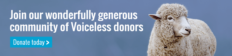 Join Voiceless Donor Community