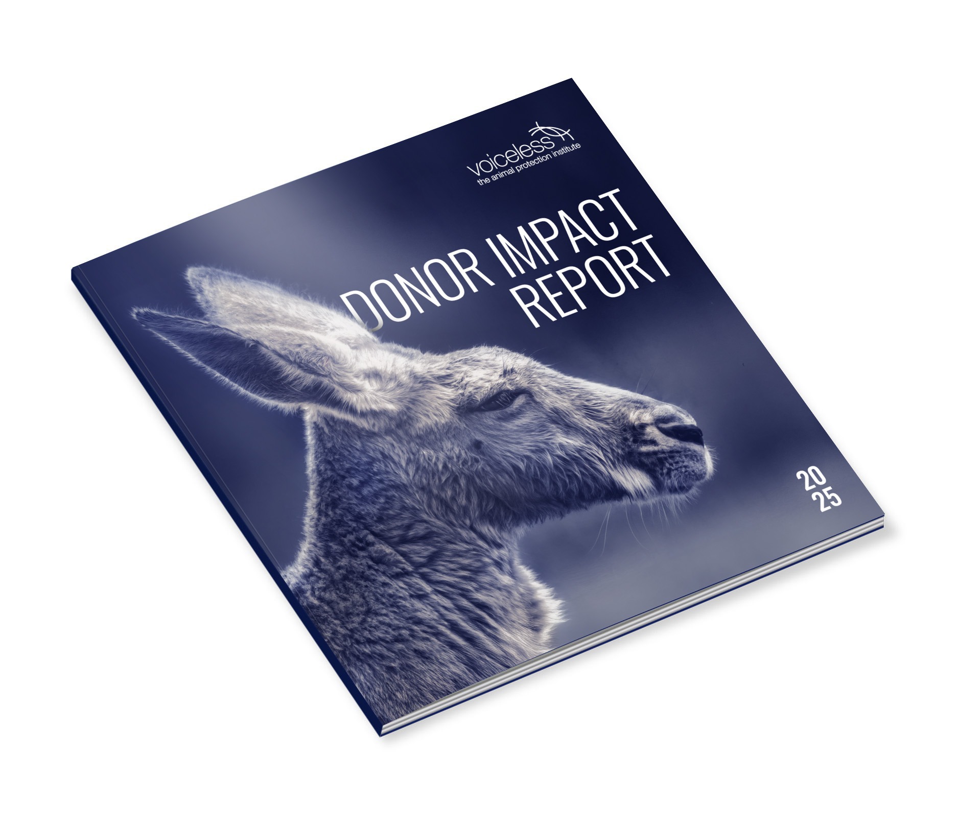 Voiceless Donor Impact Report 2025