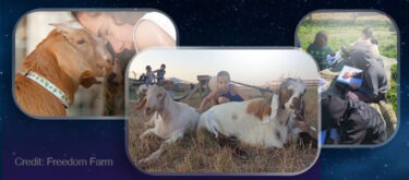Freedom Farm