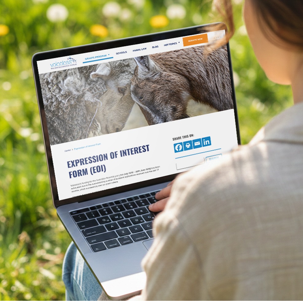 Voiceless Grants Program