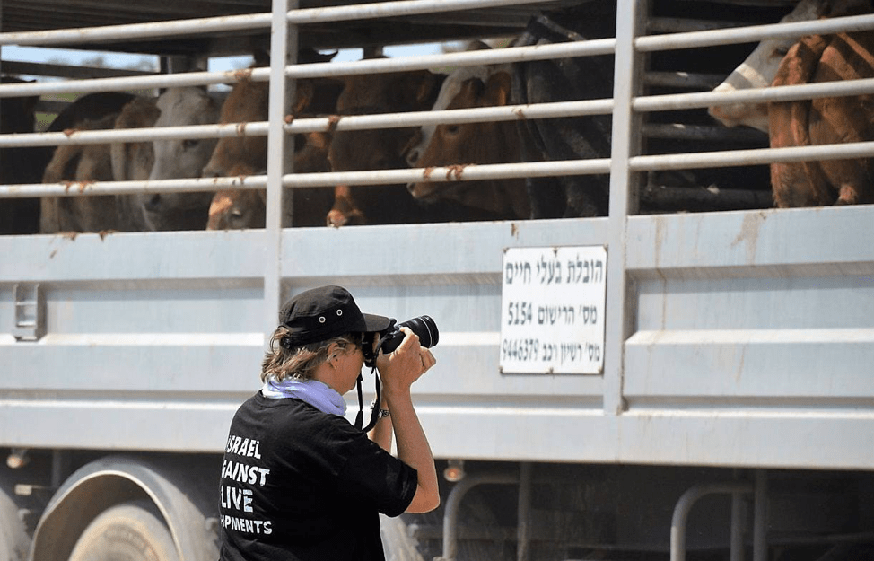 Activist Bearing Witness outside Haifa (Mespenot) Port